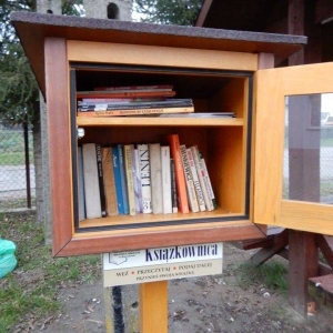 Zdjęcie biblioteczki plenerowej w Rzechowie